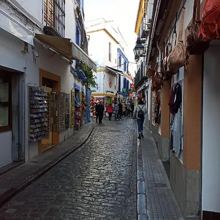 Amor, Emocion Y Mas, Autentico Centrico Climatizado,con Wifi, Cercano A La Catedral Y Estaciones Apartmán