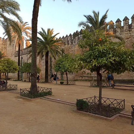 Amor, Emoción Y Más, Auténtico Céntrico Climatizado,con Wifi, Cercano A La Catedral Y Estaciones * Cordoue