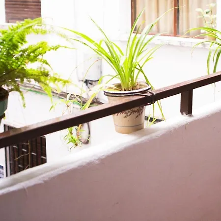 Amor, Emoción Y Más, Auténtico Céntrico Climatizado,con Wifi, Cercano A La Catedral Y Estaciones Appartement *